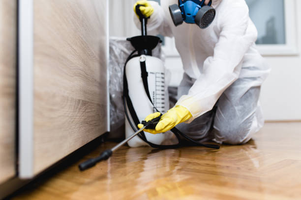 Pest Prevention Services in West Leechburg, PA