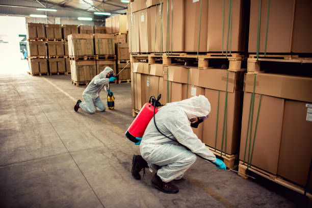 Best Pest Control Near Me in West Leechburg, PA