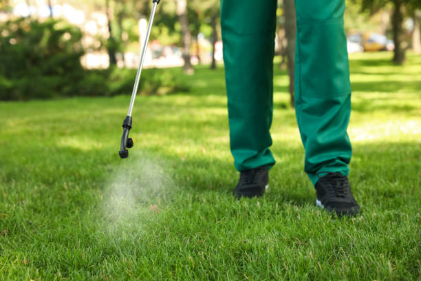 Best Termite Control Services  in West Leechburg, PA