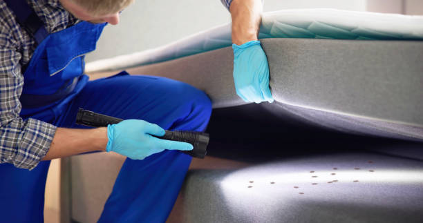 Best Mosquito Control Services  in West Leechburg, PA