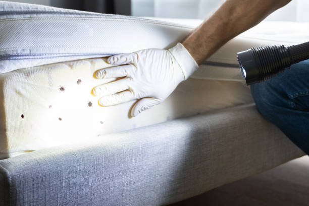 Best Cockroach Control Services  in West Leechburg, PA