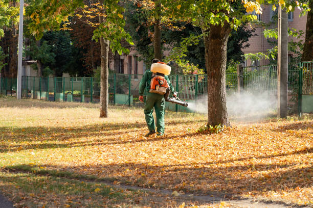Best Local Pest Control Services  in West Leechburg, PA