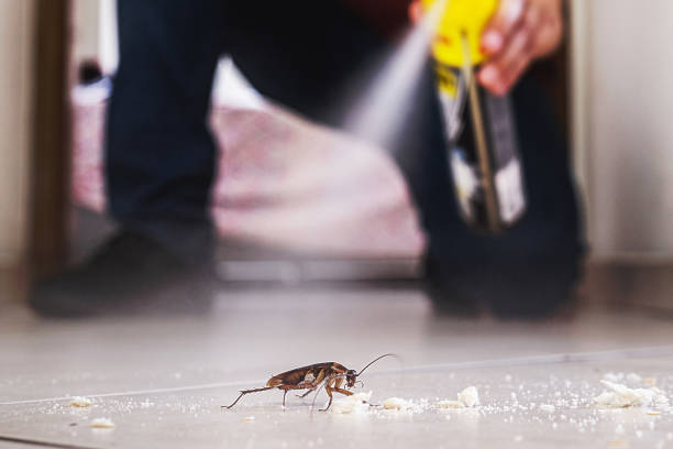 Reliable West Leechburg, PA Pest Control Solutions