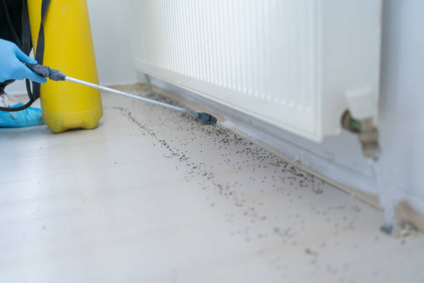 Best Affordable Pest Control Services  in West Leechburg, PA