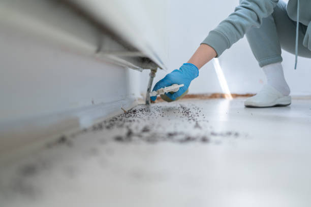 Pest Prevention Services in West Leechburg, PA